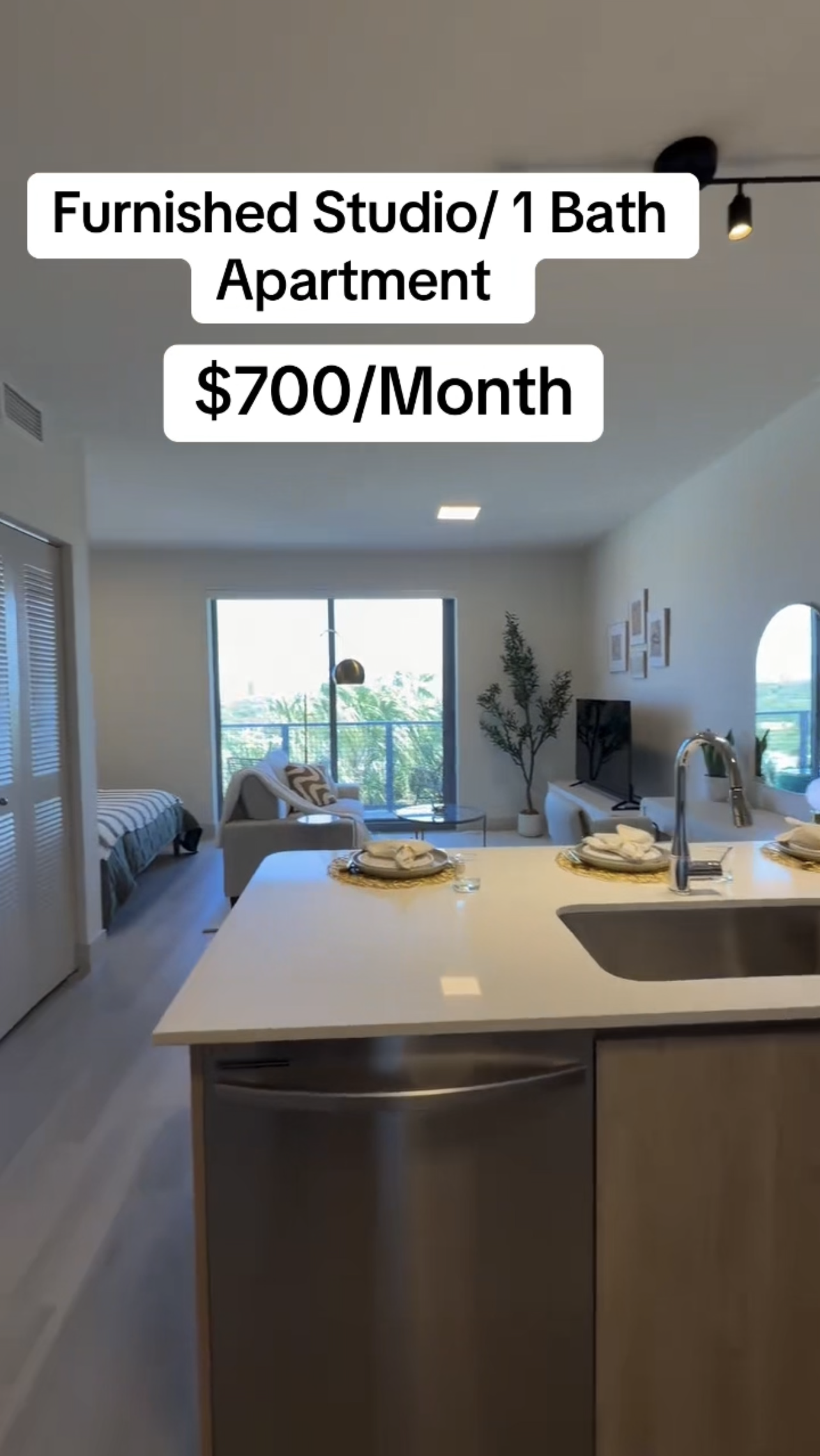 Aleman Properties